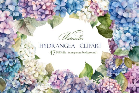 Blue Hydrangea Clipart: Watercolor Illustrations for Branding