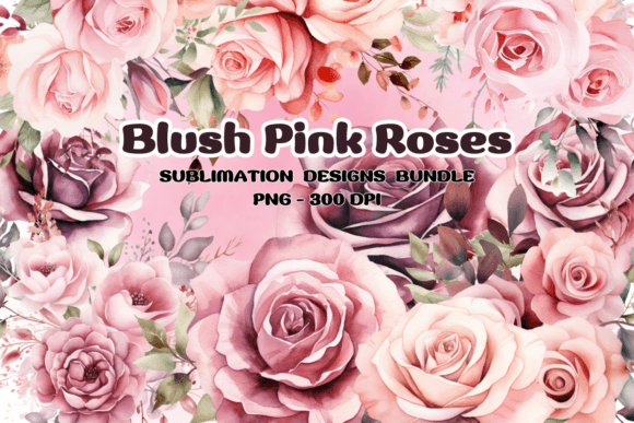Blush Pink Roses Watercolor Illustrations for Blog & Editorial Design