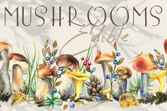 Edible Forest Mushrooms Watercolor Illustrations for Creative Sellers