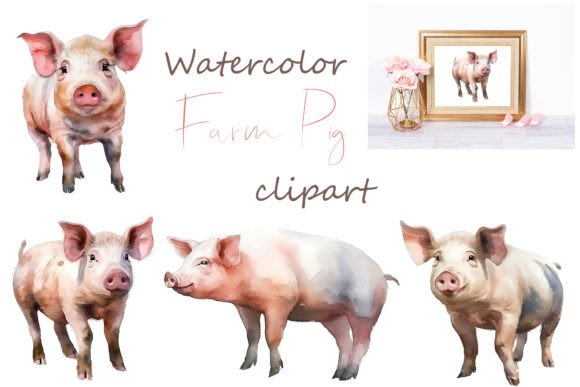 Farm Animal Pig Illustrations: Watercolor Clipart Review