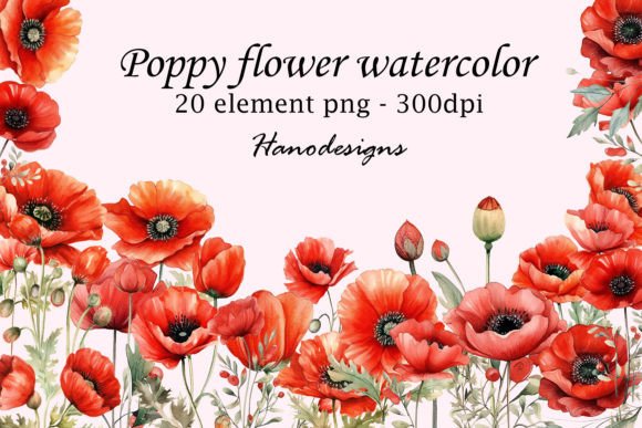 Poppy Flower Watercolor: A Designer’s Real-World Review