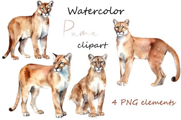 Watercolor Baby Animals: Tropical Embroidery Review