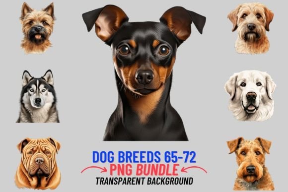 Watercolor Dog Breeds Sublimation 65-72: A Designer’s Review for Real Client Projects