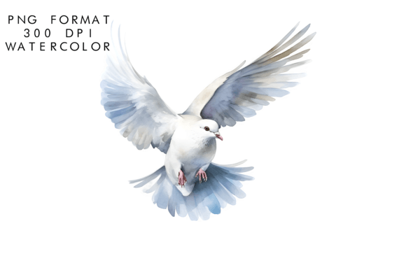 Watercolor Dove Illustrations Bring Soft Elegance to Branding and Design Projects