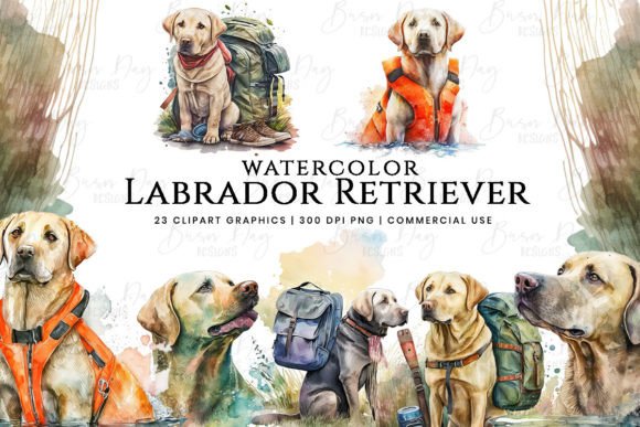 Watercolor Labrador Clipart 1: Illustrations Review
