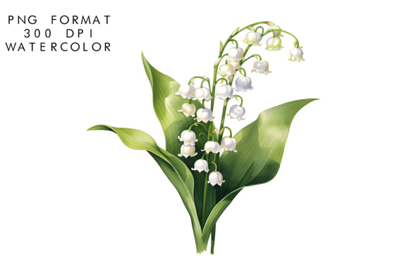 Watercolor Lily of the Valley Clipart for Crafters & Etsy Sellers