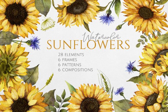 Watercolor Sunflowers Illustrations: A Designer’s Review for Real Business Branding
