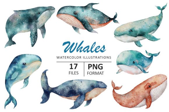 Whale Watercolor Illustration for Creative Sellers: A Practical Review